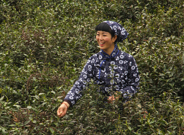 香烟与天鹅绒
